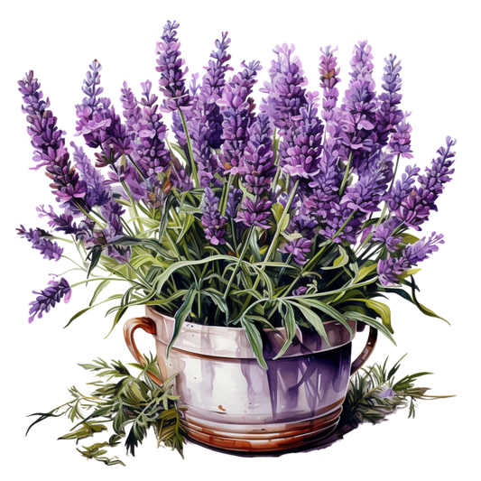 Benefits of Lavender
