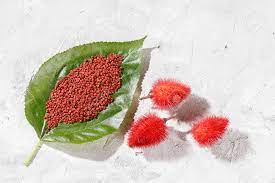 Annatto Achiote Molido