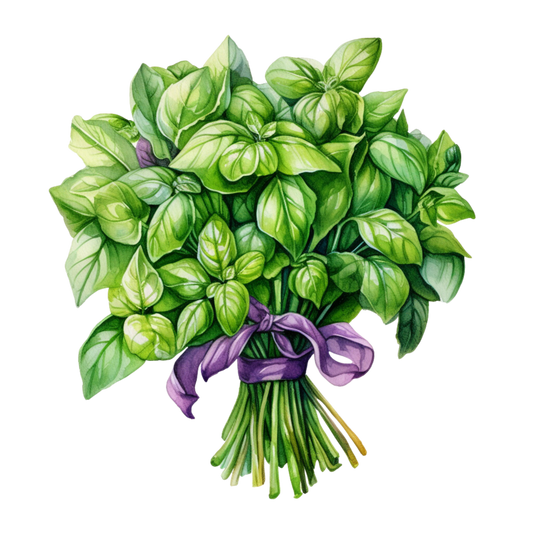 Basil