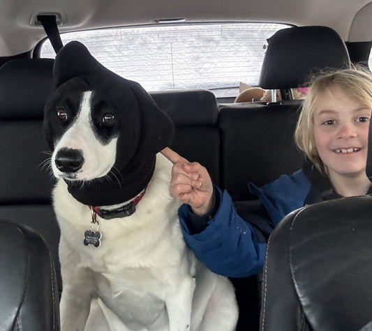 Keeping Your Farm Dog Happy, Healthy, and Warm in Winter: Don't Forget the Working Paws!