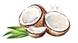 Coconut Oil