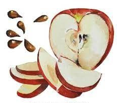 Apple Seed Oil