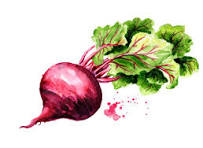 Beet Root