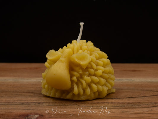 100% beeswax Sheep Candles. Vermont grown & made! Infused with your favorite herbs!