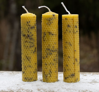 🐝 Hand-Rolled Beeswax Candle Set – Pure Vermont Honeycomb Glow! 🐝